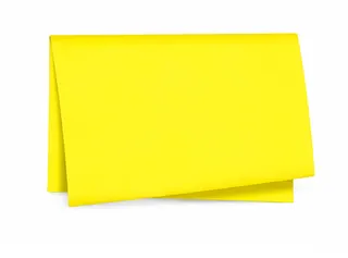 Papel de Seda Liso 49x69 cm c/100 Folhas
