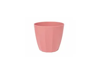 Cachepot Cacau