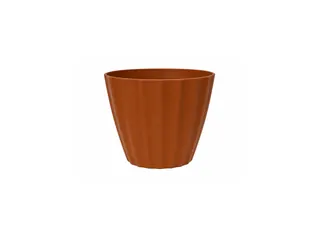 Bojo Cacau