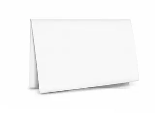 Papel de Seda Liso 49x69 cm c/100 Folhas