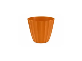 Bojo Cacau
